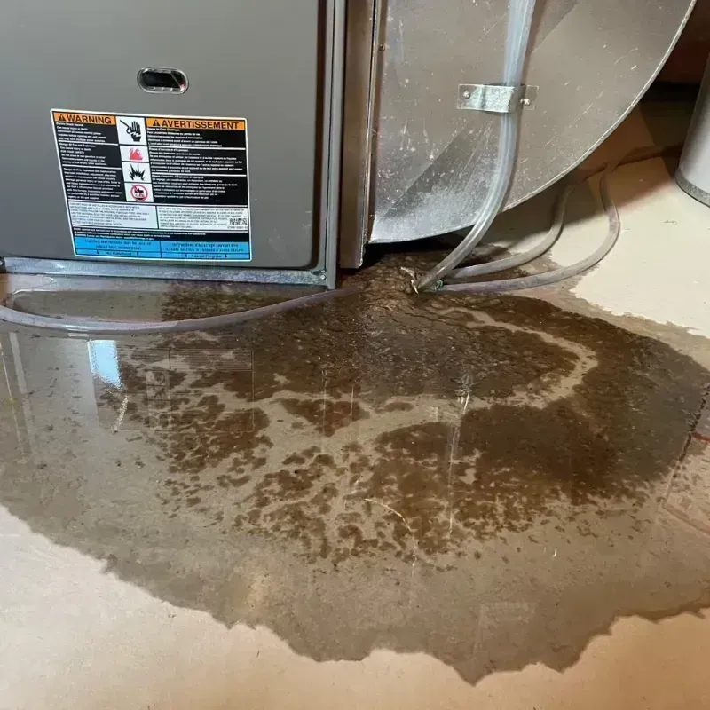 Appliance Leak Cleanup in Riverton, IL